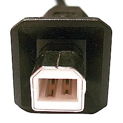 USB Male Plug Type B.jpg